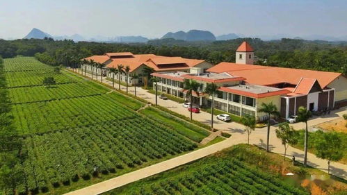 英德8個(gè)地方獲評(píng)清遠(yuǎn)農(nóng)業(yè)公園