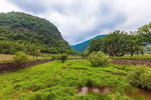 鐘祥黃仙洞里的這條天梯陡立90度,讓人又愛又怕