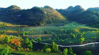 游英德山水 品茶享人生 英德特色精品茶旅線路新鮮出爐