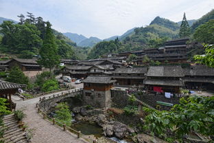 六月份前半月論壇精華帖匯總