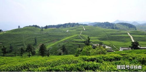 開陽 小 硒 帶動大發(fā)展