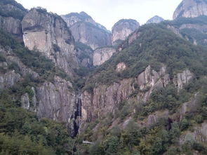 大隱隱于世，小隱隱于山 浙江溫州自駕出行季之雁蕩山茶苑尋幽