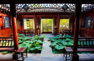 種草必讀 | 華中地區超in網紅酒店，有顏又有趣·雁蕩山茶苑