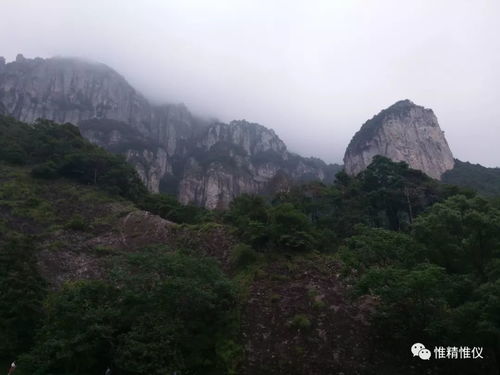 強健體魄，快樂生活——寧德項目隊雁蕩山徒步之旅與茶苑體驗