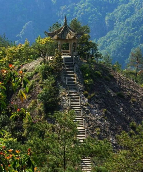 雁蕩山茶韻，秦王宮光影——橫店雁蕩三日游體驗