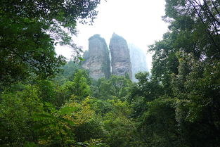 雁蕩山一日游 奇峰秀水與茶苑清韻