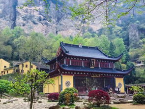 唯美雁蕩山 飛檐走壁飛拉達 雁蕩山茶苑