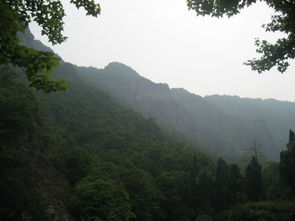 雁蕩山游記 雁蕩山茶苑