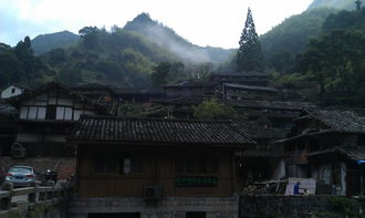 暑期雁蕩山之旅——雁蕩山茶苑