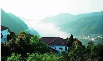 溫州七大避暑勝地，邊避暑邊看奧運(yùn) 雁蕩山茶苑