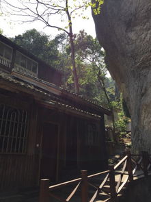 雁蕩山森林公園度假名邸與雁蕩山茶苑信息指南