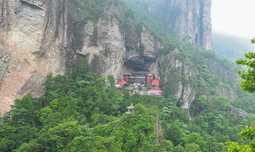 雁蕩山茶苑 日夜變幻的山水詩畫