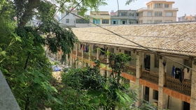 雁蕩山騎行之旅 探訪雁蕩山茶苑