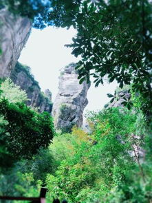 樂清清隱民宿 雁蕩山茶苑中的詩意棲居