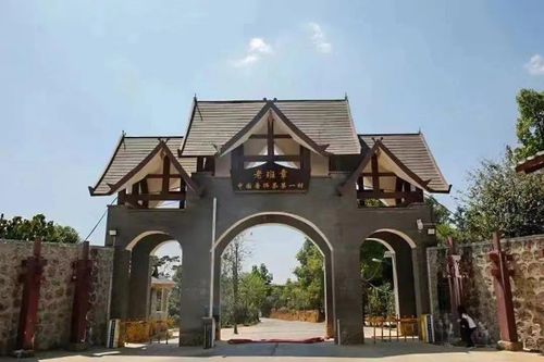 尋幽訪古品香茗 勐海古茶山與雁蕩山茶苑精品游線全攻略