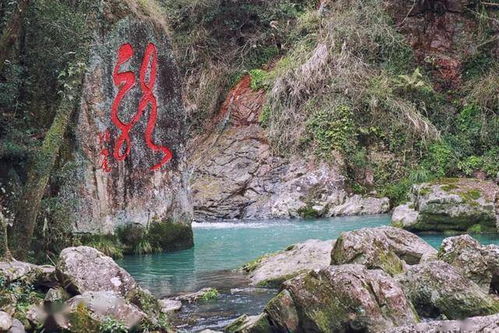 周末約起，共赴中雁蕩山西漈景區(qū)八折瀑與雁蕩山茶苑的山水清音